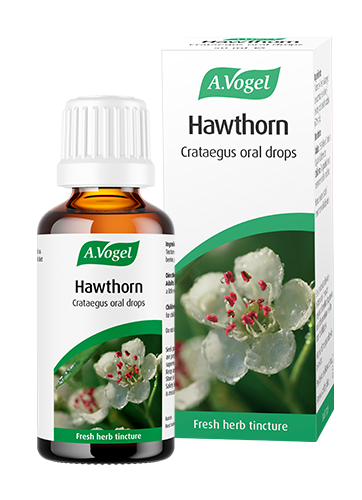 A.Vogel Hawthorn Crataegus