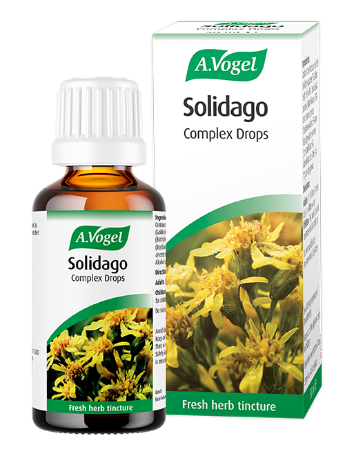 A.Vogel Solidago Complex