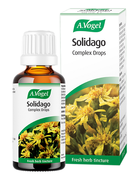 A.Vogel Solidago Complex