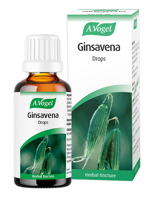 A.Vogel Ginsavena