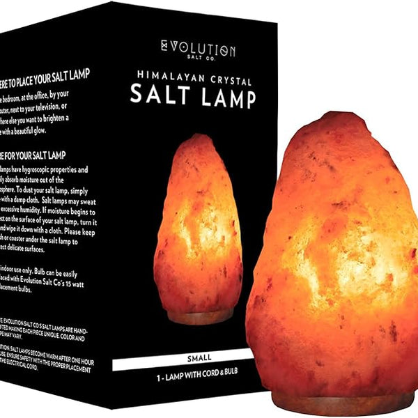 Natural Crystal Evolution Himalayan Salt Lamp Small