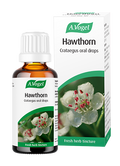A.Vogel Hawthorn Crataegus