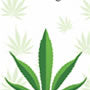 Improve Me Cbd 500Mg