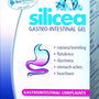 Hubner Original Silicea Gi Gel 200Ml