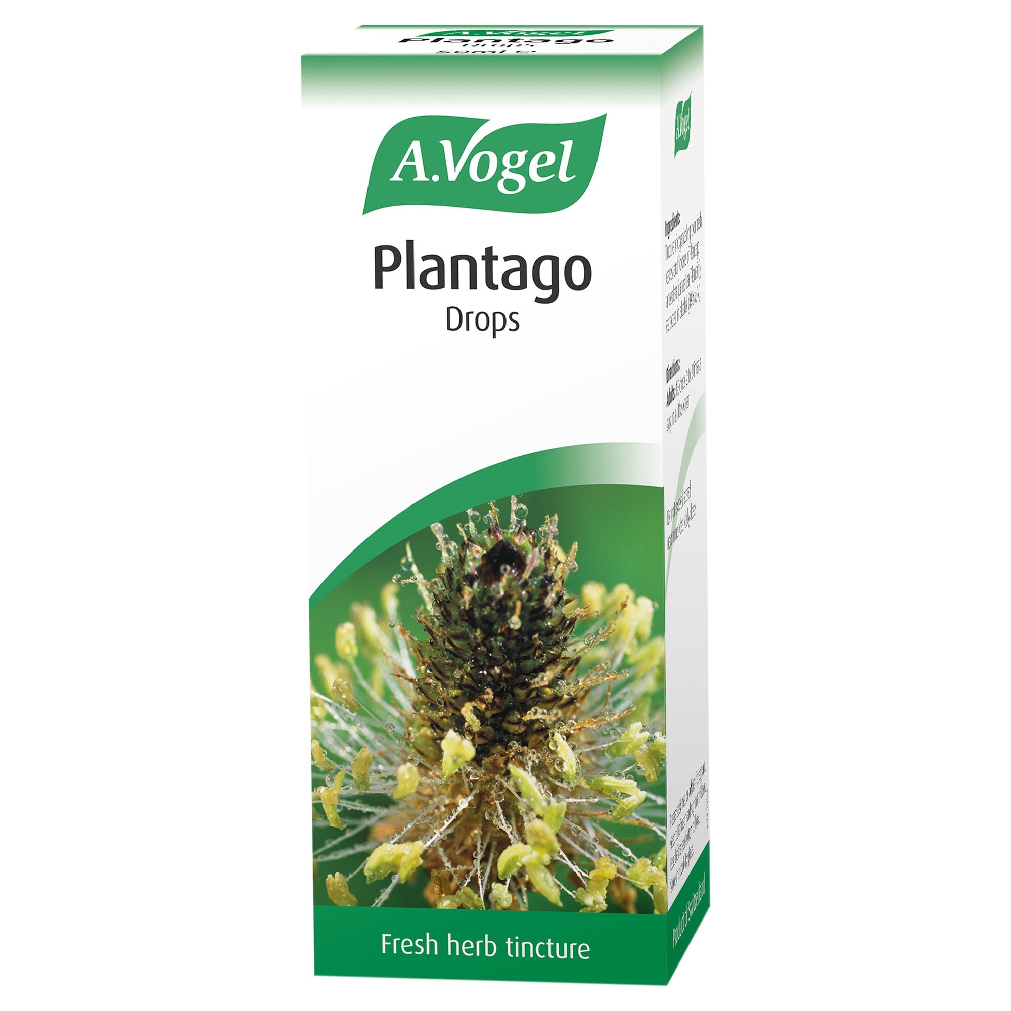 A.Vogel Plantago Lanceolata