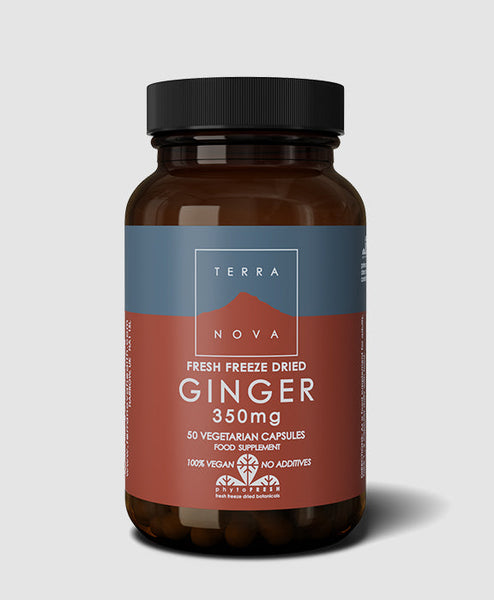 Terranova Ginger