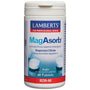 Lamberts Magasorb